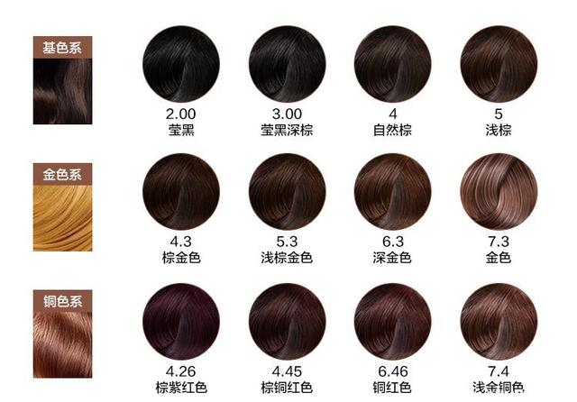 我市举办服务实体经济用工暨失业人员集中帮扶行动专场招聘会