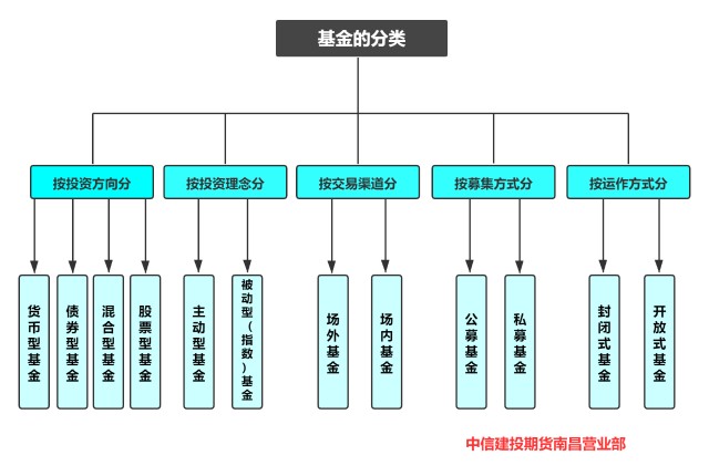 O型血更招蚊子吗？蚊子会被热死吗？广东“蚊子专家”揭秘关于蚊子的八大真相