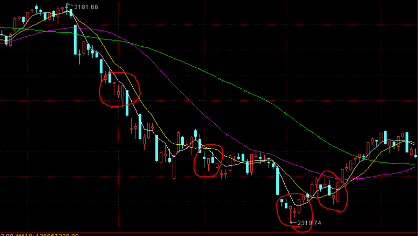 5名“驴友”迷路被救，遭顶格罚款各5000元不服起诉，广东法院：不冤